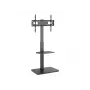 Suporte de chão para TV Equip 37-75 polegadas 650613