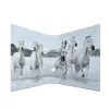 Ficheiro de argolas A4 HERMA 7164