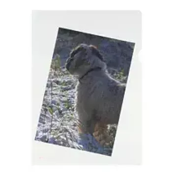 Capa transparente Herlitz 10843746 A4