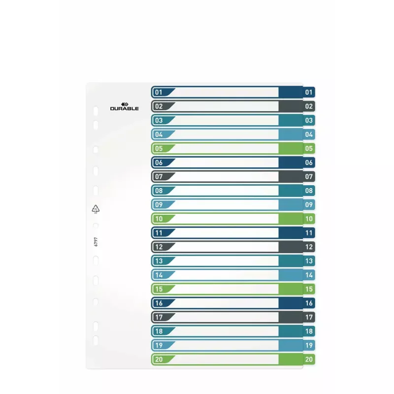 Separador em branco Durable 679727 multicolorido polipropileno 245 x 305 mm