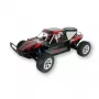 Buggy Amewi Breaker modelo RC radiocomandado 1:10