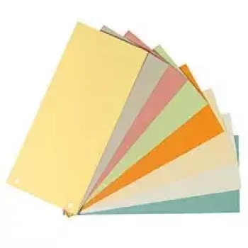 Separadores cartão Herlitz 10843621