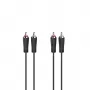 Hama 00205093 cabo de áudio 5 m 2 x RCA preto