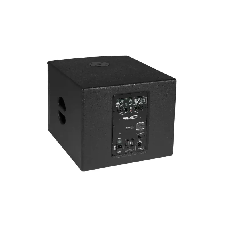 Subwoofer ativo Omnitronic 11039050 preto 500 W