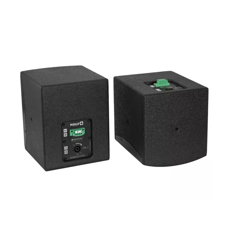 Altifalante full range Omnitronic MOLLY-6