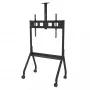 Suporte de chão Peerless Paramount 190,5 cm (75
