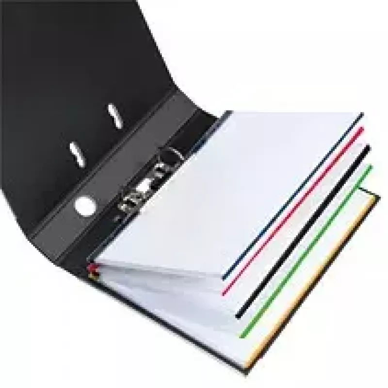 Capa transparente A4 Herlitz 10914422