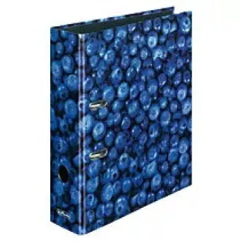 Caderno de argolas Herlitz 11080660 A4 multicolor