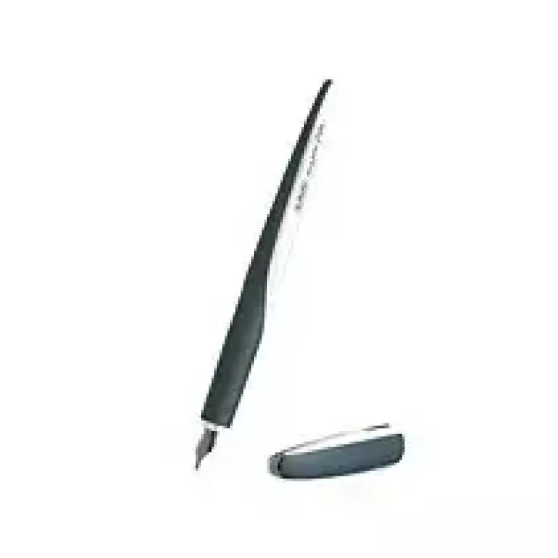 Caneta de caligrafia Herlitz 11360286
