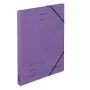 Dossier cartão violeta A4 Herlitz 11255452