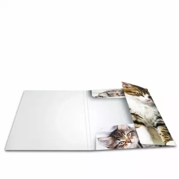 Dossier polipropileno (PP) HERMA 7138 A4 multicolor