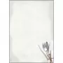 Folhas de papel artístico Sigel DP125 50 folhas
