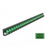 Painel frontal de caixa de fusão DeLOCK 19 polegadas 24 portas SC simplex verde