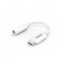 Cabo de áudio Hama 00201524 USB C 3,5 mm branco
