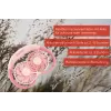 Unold Ventilador de pescoço Breezy Pink, Rosa, 2 ventoinhas, 8 h, ventilador de pescoço, Branco, 1 unid.
