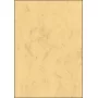 Papel de impressão artístico Sigel DP262 100 folhas bege 90 g/m²