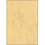 Folhas de papel artístico Sigel DP553 50 folhas bege 200 g/m²