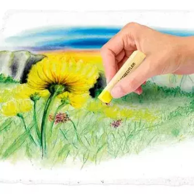 Giz pastel seco macio Staedtler 2430 multicolor 24 unidades