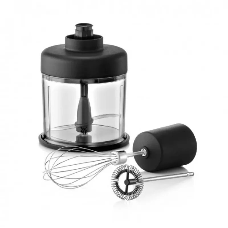 WMF Lineo 0416350011 1 L varinha mágica 700 W preto, aço inoxidável