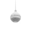 Altifalante de 2 vias Omnitronic 80710421 branco com fios 10 W