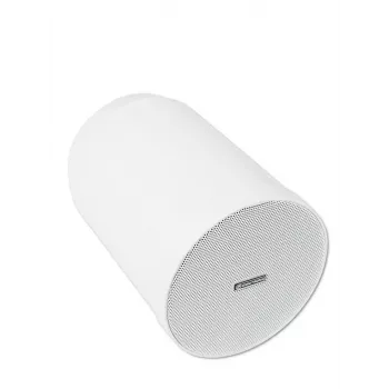 Altifalante de 2 vias Omnitronic 80710406 branco