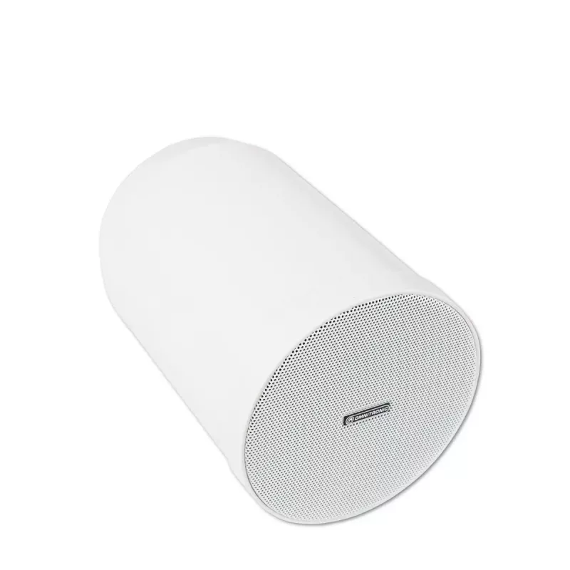 Altifalante de 2 vias Omnitronic 80710406 branco