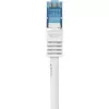 Cabo de rede Renkforce RF-3829272 20m Cat6a S/FTP
