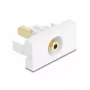 Tomada DeLOCK 90843 2 x 3,5 mm conector de cabo branco