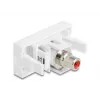 Módulo Keystone DeLOCK 90857 RCA Vermelho Branco 22,5 mm 45 mm 33 mm