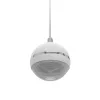 Altifalante de 2 vias Omnitronic 80710429