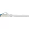 Cabo de rede Renkforce RF-4145286 3m Cat6a S/FTP
