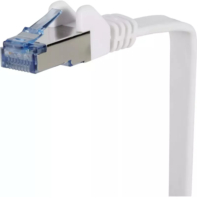 Cabo de rede Renkforce RF-4149843 3m Cat6a U/FTP