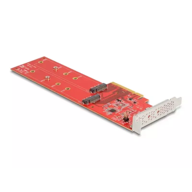 DeLOCK placa PCI Express x8 para 2 x NVMe M.2 Key M 110 mm internos Bifurcation Low Profile