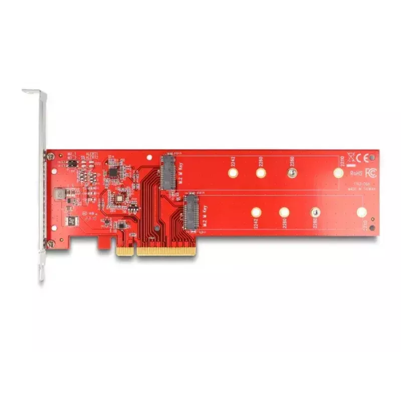 DeLOCK placa PCI Express x8 para 2 x NVMe M.2 Key M 110 mm internos Bifurcation Low Profile
