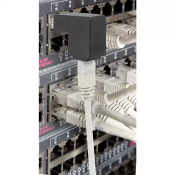 Adaptador de cabo Renkforce RF-4087416