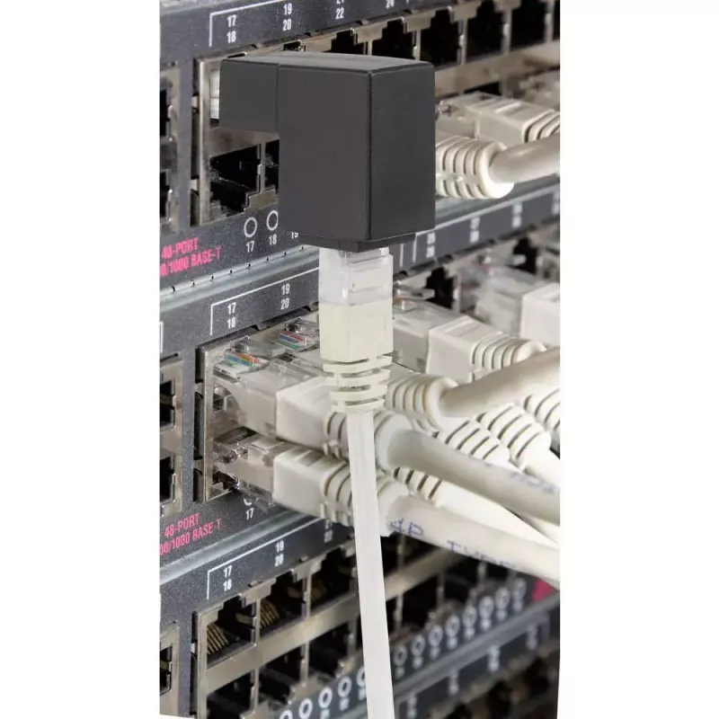 Adaptador de cabo Renkforce RF-4087416