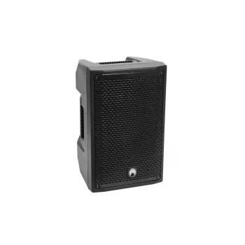 Altifalante de gama completa Omnitronic 11038761 100 W