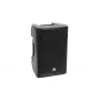 Altifalante de gama completa Omnitronic 11038761 100 W