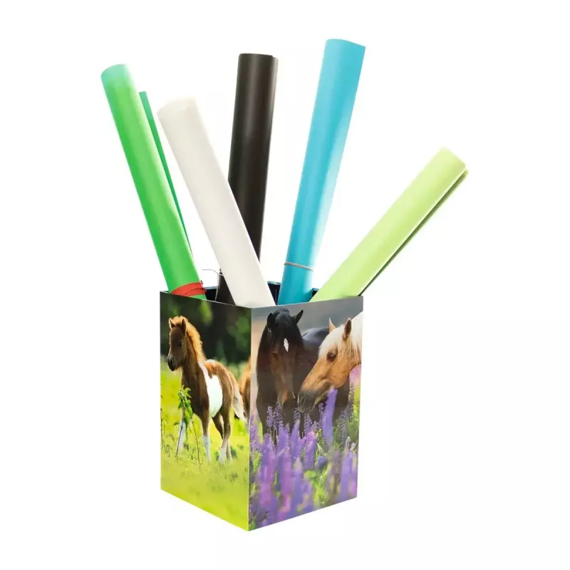 Papelão Herma Pferdewiese 19741 design encantador para crianças