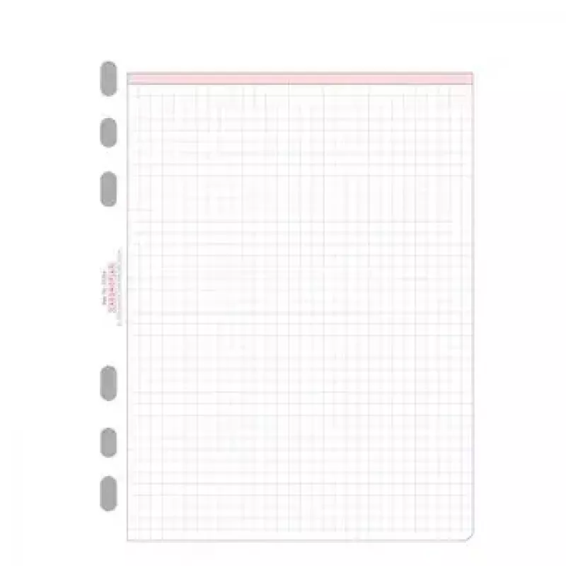 Avery Zweckform Chronoplan 50304 folhas de recarga quadriculadas para agenda A5, 50 folhas, 80 g/m²