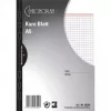 Avery Zweckform Chronoplan 50304 folhas quadriculadas para planificador A5, 50 folhas, 80 g/m²