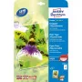 Papel de jato de tinta Avery Premium A4 250 g branco satinado mate