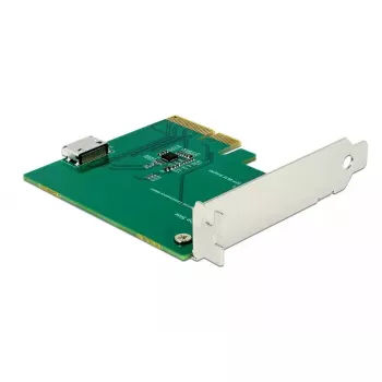 Placa de interface DeLOCK 90307