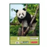 Bloco de notas Herlitz 10416634 A3 25 folhas Multicolor
