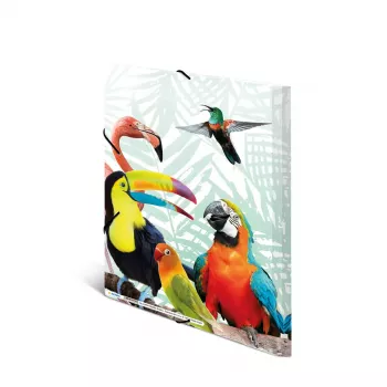 Capa de documentos convencional HERMA Tropical Clique