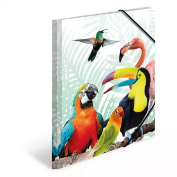 Capa de documentos convencional HERMA Tropical Clique