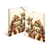 Capa de arquivo convencional HERMA Giraffe Friends polipropileno A3
