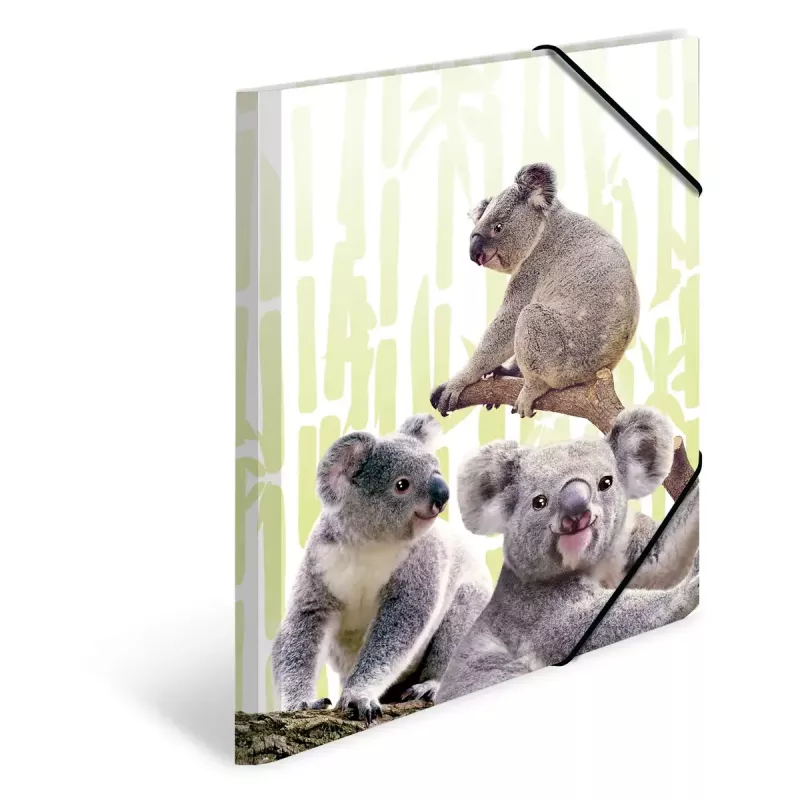 Dossier convencional HERMA Koalafamily A3