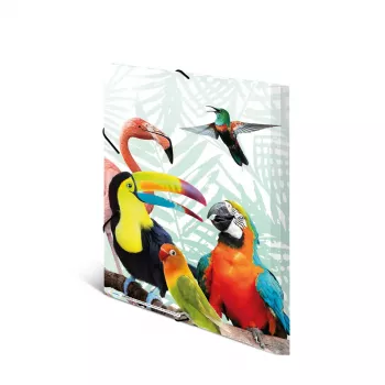 Capa convencional HERMA Tropical Clique A3