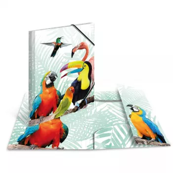 Capa convencional HERMA Tropical Clique A3